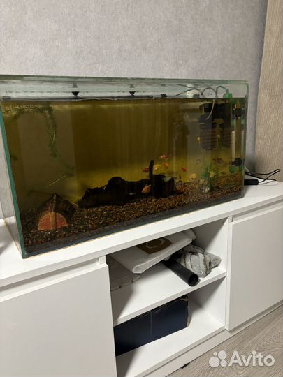 Аквариум 100л
