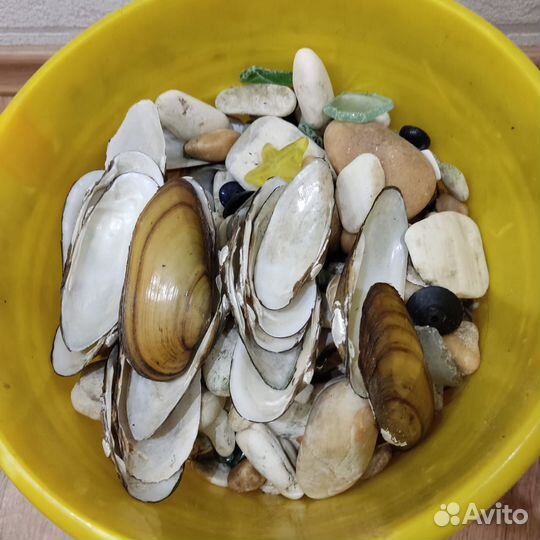 Все для аквариума