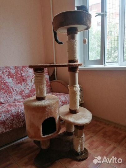 Домик когтеточка для кошек