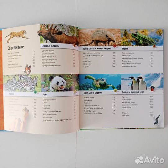 Атлас животного мира