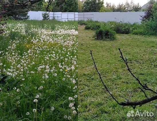 Покос травы скашу траву триммером