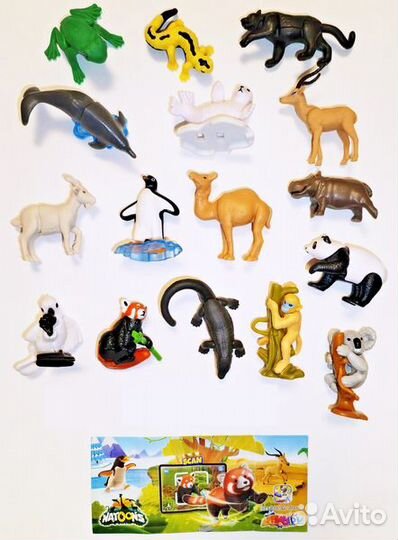 Kinder natoons 2024 натюнс