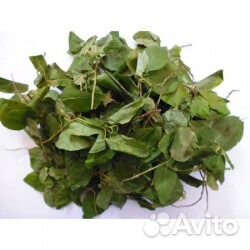 Боровая матка