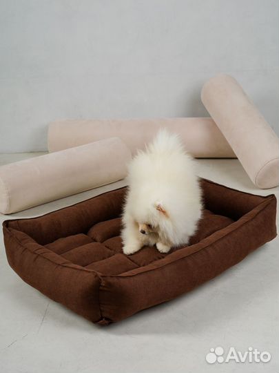 Доберман/шпиц фотосъемка для Оzon, Wildberries