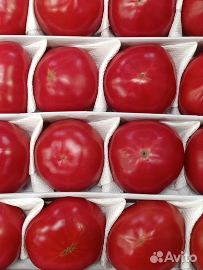 Помидоры оптом