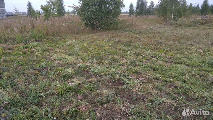 Покос травы триммером