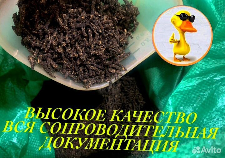 Иван чай опт