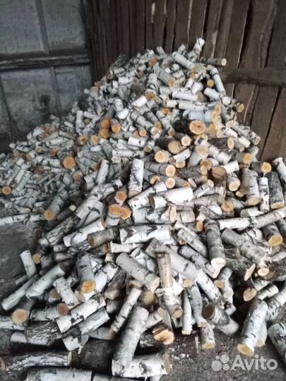 Дрова береза