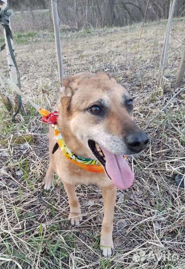 Добро в дом, это Я