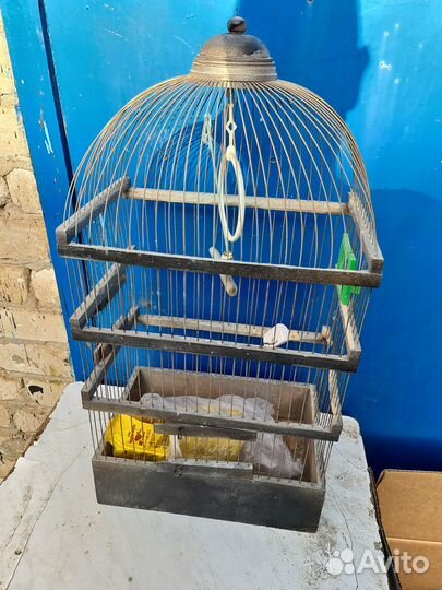 Клетка для крупного попугая