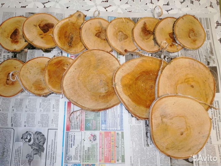 Спилы березы