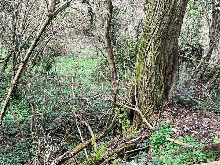 Участок 5 сот. (СНТ, ДНП)