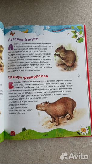 Детская книга о животных