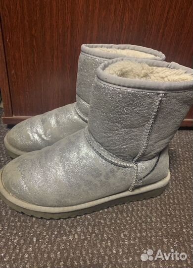 Сапоги и Зимние Угги T-Taccardi