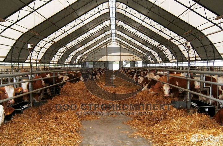 Ангары Бескаркасные здания склады