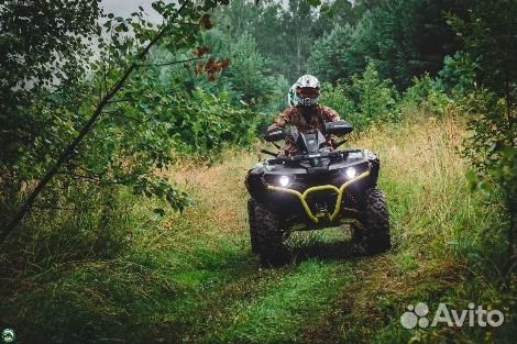 Сибирское сафари. Прогулка на квадроцикле в Ветлу