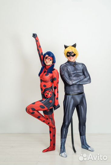 Аниматоры. Трансформер. Серебряная дискотека