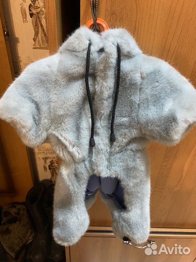 Одежда для собак