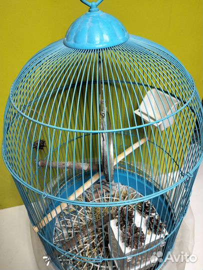Клетка для попугая