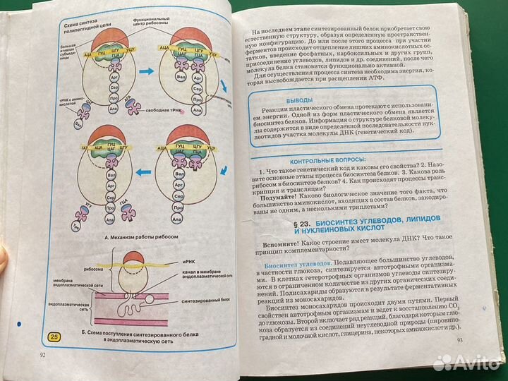 Общая Биология 10-11 класс