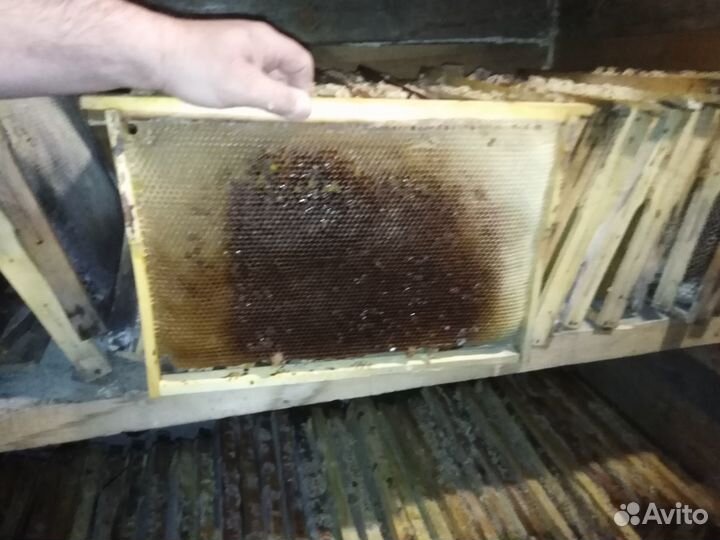 Рамки соты гнездовые дадан