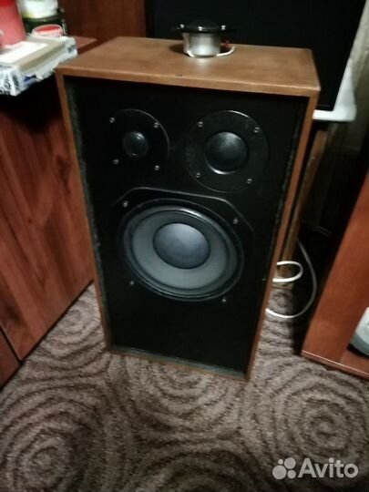 Акустическая система