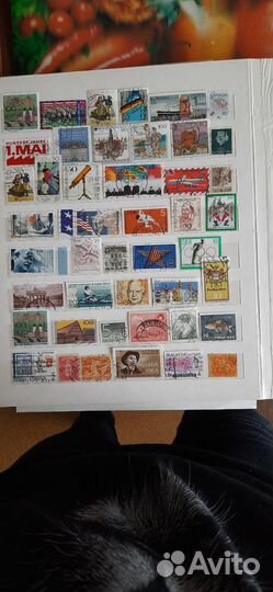 Альбом иностранных марок