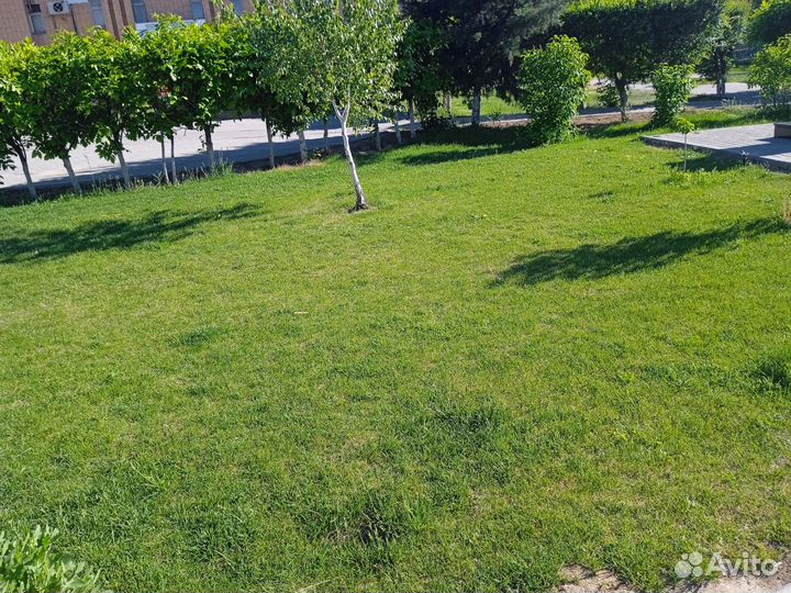 Расчистка участка/уборка участков/ озеленение