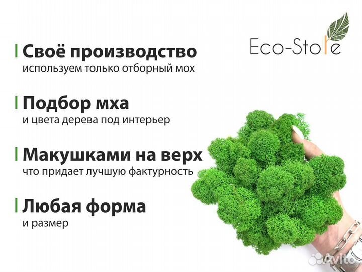 Название компании из мха 30 см