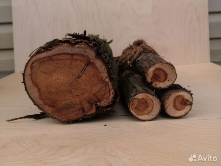 Можжевельник ствол дерева 40 х 12 см