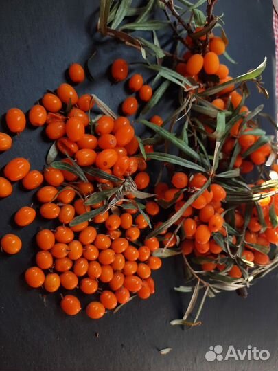 Свежемороженные ягоды