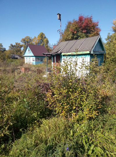 Участок 4 сот. (СНТ, ДНП)