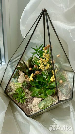 Флорариум с суккулентами