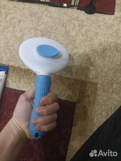 Вещи для собак