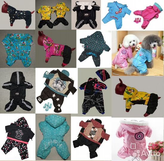 Одежда дождевики для собак