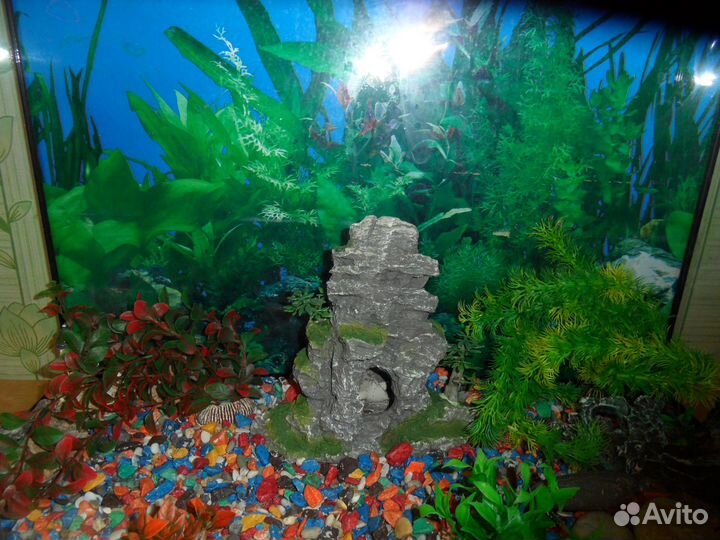 Аквариум