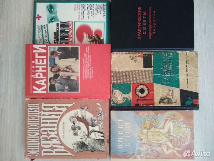 Анн и Серж Голон 