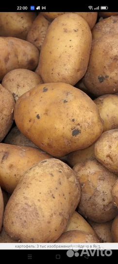 Продам картофель урожай 2023