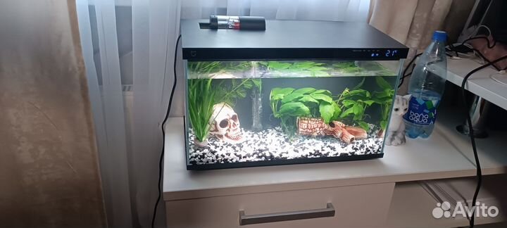 Аквариум
