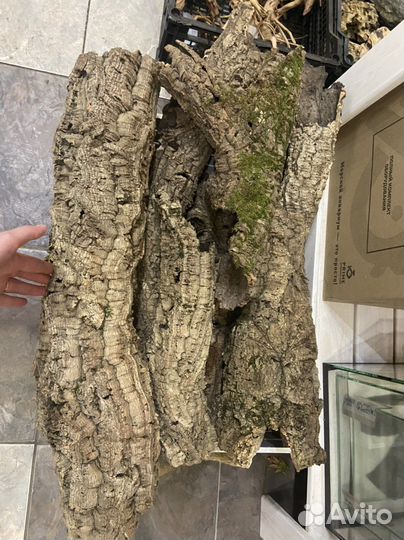 Кора пробкового дуба