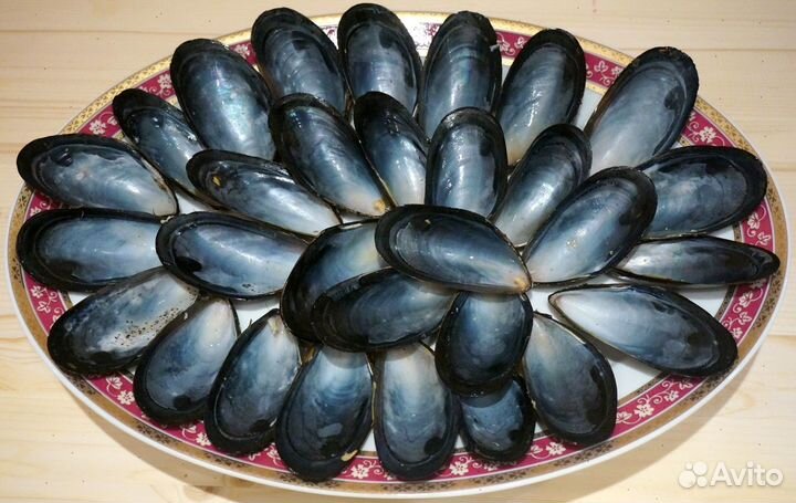 Мидии высокого качества