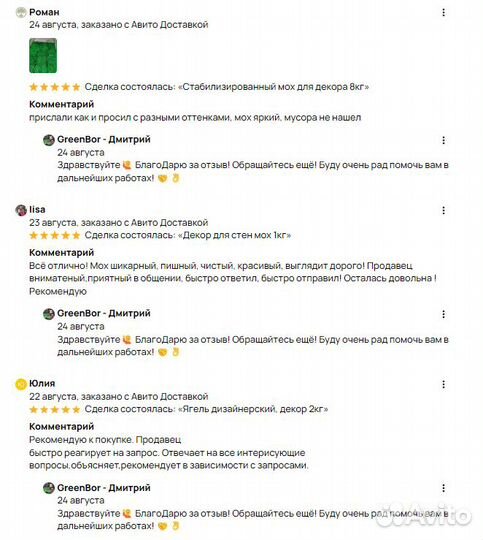 Вечно зеленый мох натуральный для интерьера