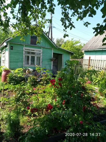 Участок 3,6 сот. (СНТ, ДНП)
