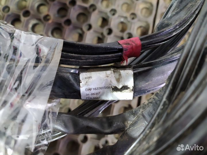 1637655 Проводка ABS передняя Daf XF105