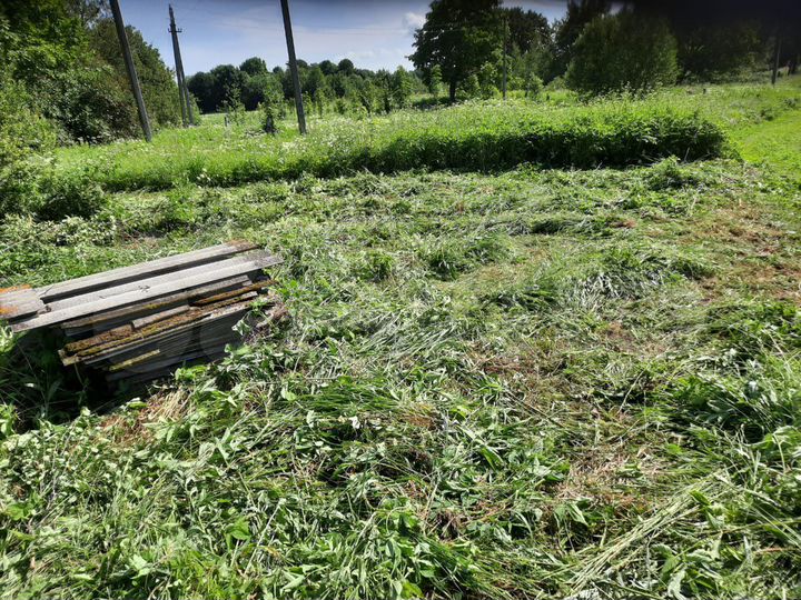 Участок 1,5 га (ИЖС)