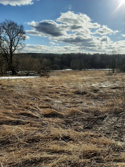 Участок 20 сот. (ИЖС)