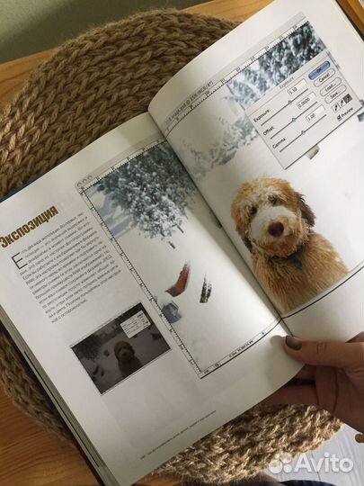 Книга. Сарторе, Хили: Как фотографировать детей