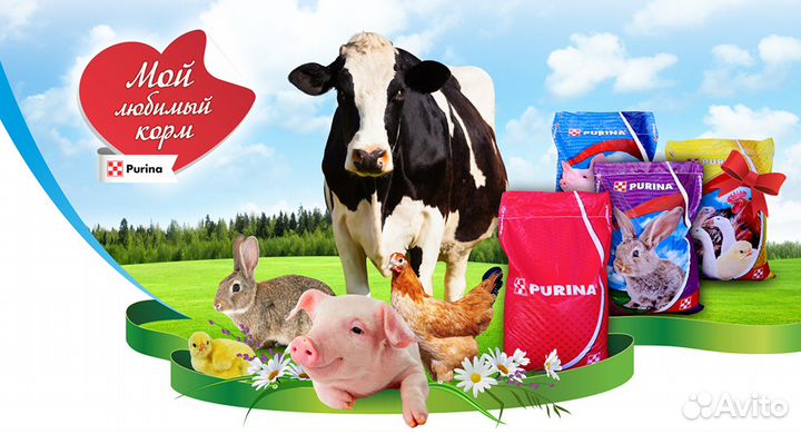 Комбикорма бвмк Пурина purina для животных оптом