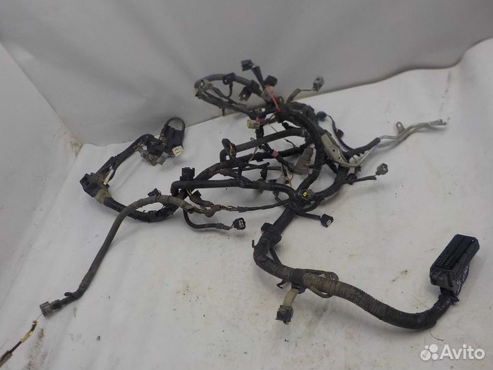 Проводка моторная Toyota Auris