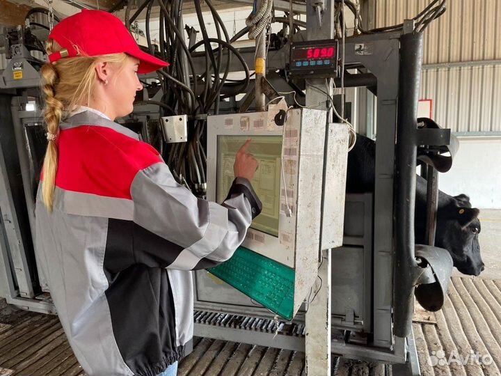 Администратор фермы (Ферма Любышь)